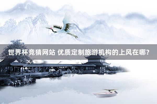 世界杯竞猜网站 优质定制旅游机构的上风在哪?
