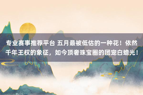 专业赛事推荐平台 五月最被低估的一种花!依然千年王权的象征,如今顶奢珠宝圈的团宠白蟾光!