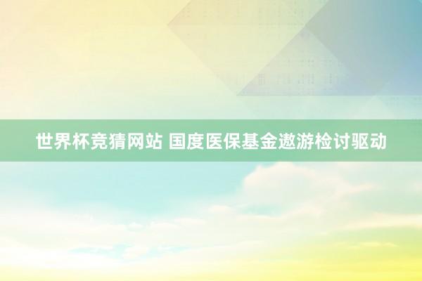 世界杯竞猜网站 国度医保基金遨游检讨驱动