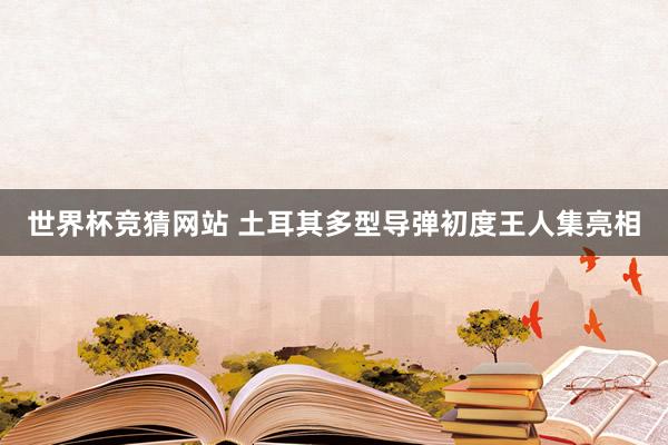 世界杯竞猜网站 土耳其多型导弹初度王人集亮相