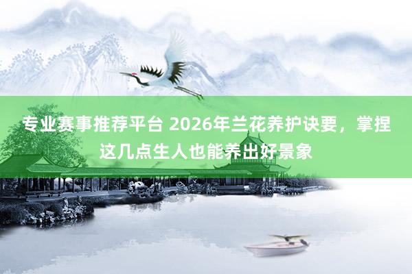 专业赛事推荐平台 2026年兰花养护诀要,掌捏这几点生人也能养出好景象