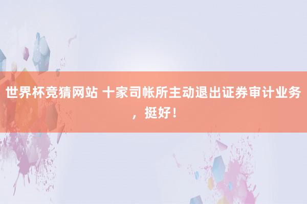 世界杯竞猜网站 十家司帐所主动退出证券审计业务,挺好!