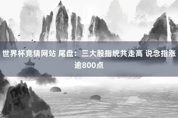 世界杯竞猜网站 尾盘:三大股指统共走高 说念指涨逾800点