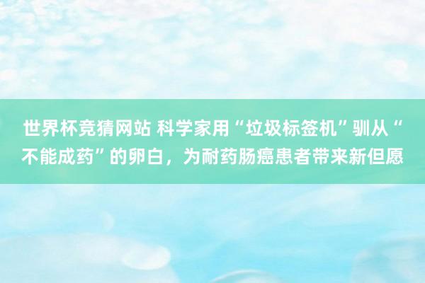 世界杯竞猜网站 科学家用“垃圾标签机”驯从“不能成药”的卵白,为耐药肠癌患者带来新但愿