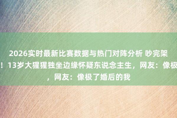 2026实时最新比赛数据与热门对阵分析 吵完架不吼也不闹!13岁大猩猩独坐边缘怀疑东说念主生,网友:像极了婚后的我