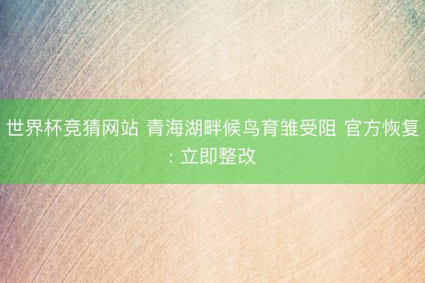 世界杯竞猜网站 青海湖畔候鸟育雏受阻 官方恢复: 立即整改